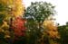 fall_colors_rothbury